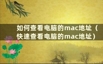 如何查看电脑的mac地址（快速查看电脑的mac地址）