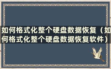 如何格式化整个硬盘数据恢复（如何格式化整个硬盘数据恢复软件）