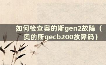 如何检查奥的斯gen2故障（奥的斯gecb200故障码）