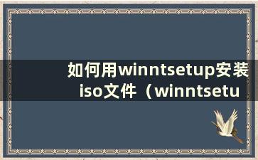 如何用winntsetup安装iso文件（winntsetup安装教程gpt）