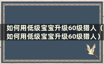 如何用低级宝宝升级60级猎人（如何用低级宝宝升级60级猎人）