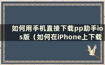 如何用手机直接下载pp助手ios版（如何在iPhone上下载pp手机助手）