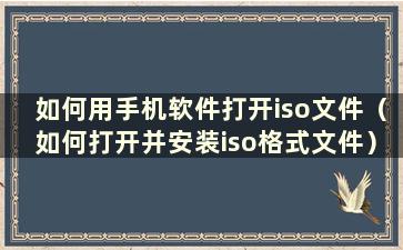 如何用手机软件打开iso文件（如何打开并安装iso格式文件）