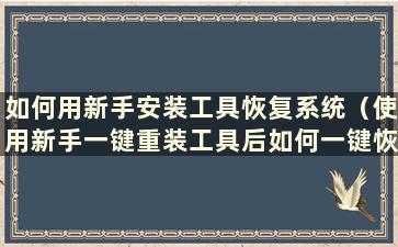 如何用新手安装工具恢复系统（使用新手一键重装工具后如何一键恢复系统）