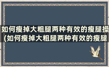 如何瘦掉大粗腿两种有效的瘦腿操(如何瘦掉大粗腿两种有效的瘦腿操作)