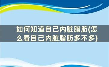 如何知道自己内脏脂肪(怎么看自己内脏脂肪多不多)