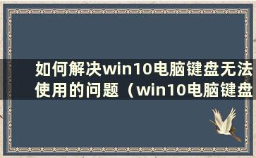 如何解决win10电脑键盘无法使用的问题（win10电脑键盘无法使用问题的解决方法）