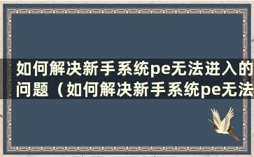 如何解决新手系统pe无法进入的问题（如何解决新手系统pe无法进入的问题）