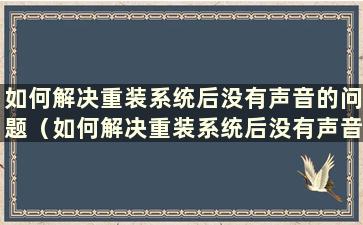 如何解决重装系统后没有声音的问题（如何解决重装系统后没有声音的问题）