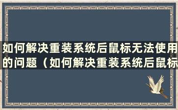 如何解决重装系统后鼠标无法使用的问题（如何解决重装系统后鼠标无法使用的问题）