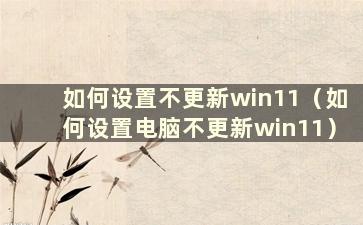 如何设置不更新win11（如何设置电脑不更新win11）