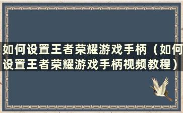 如何设置王者荣耀游戏手柄（如何设置王者荣耀游戏手柄视频教程）