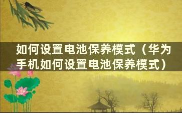 如何设置电池保养模式（华为手机如何设置电池保养模式）