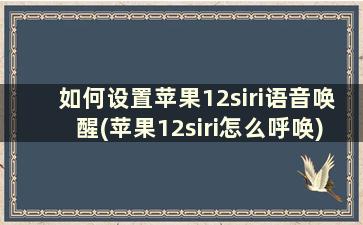 如何设置苹果12siri语音唤醒(苹果12siri怎么呼唤)