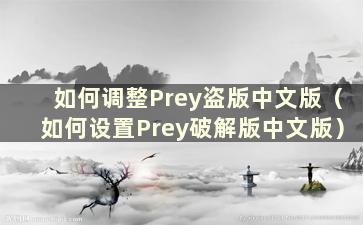 如何调整Prey盗版中文版（如何设置Prey破解版中文版）