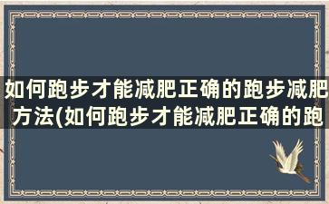 如何跑步才能减肥正确的跑步减肥方法(如何跑步才能减肥正确的跑步减肥方法)