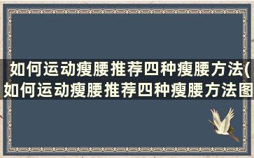 如何运动瘦腰推荐四种瘦腰方法(如何运动瘦腰推荐四种瘦腰方法图解)