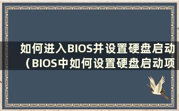 如何进入BIOS并设置硬盘启动（BIOS中如何设置硬盘启动项）