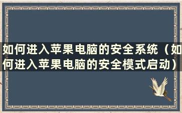 如何进入苹果电脑的安全系统（如何进入苹果电脑的安全模式启动）