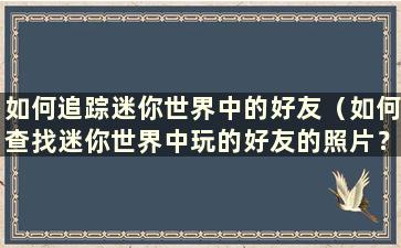 如何追踪迷你世界中的好友（如何查找迷你世界中玩的好友的照片？）