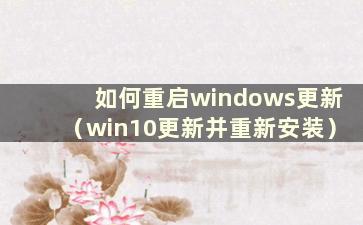 如何重启windows更新（win10更新并重新安装）