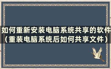 如何重新安装电脑系统共享的软件（重装电脑系统后如何共享文件）