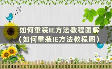 如何重装IE方法教程图解（如何重装IE方法教程图）