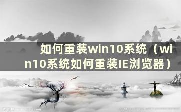 如何重装win10系统（win10系统如何重装IE浏览器）