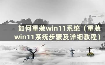 如何重装win11系统（重装win11系统步骤及详细教程）