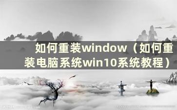 如何重装window（如何重装电脑系统win10系统教程）