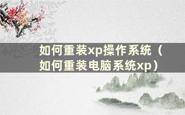 如何重装xp操作系统（如何重装电脑系统xp）