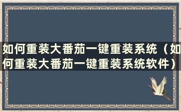 如何重装大番茄一键重装系统（如何重装大番茄一键重装系统软件）