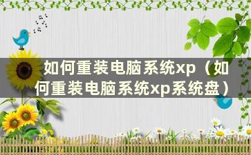 如何重装电脑系统xp（如何重装电脑系统xp系统盘）