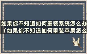 如果你不知道如何重装系统怎么办（如果你不知道如何重装苹果怎么办）