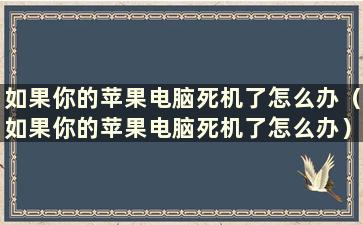 如果你的苹果电脑死机了怎么办（如果你的苹果电脑死机了怎么办）