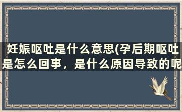 妊娠呕吐是什么意思(孕后期呕吐是怎么回事，是什么原因导致的呢)