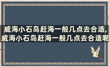 威海小石岛赶海一般几点去合适,威海小石岛赶海一般几点去合适呢