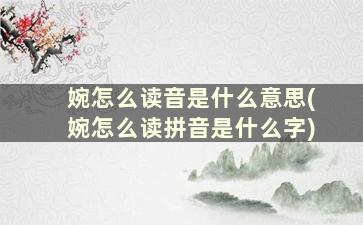 婉怎么读音是什么意思(婉怎么读拼音是什么字)