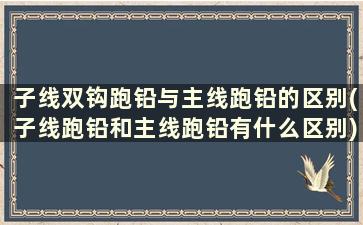 子线双钩跑铅与主线跑铅的区别(子线跑铅和主线跑铅有什么区别)