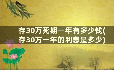 存30万死期一年有多少钱(存30万一年的利息是多少)