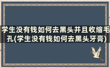 学生没有钱如何去黑头并且收缩毛孔(学生没有钱如何去黑头牙膏)