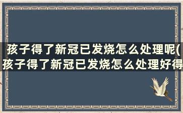 孩子得了新冠已发烧怎么处理呢(孩子得了新冠已发烧怎么处理好得快)