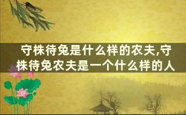 守株待兔是什么样的农夫,守株待兔农夫是一个什么样的人