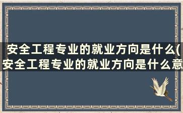 安全工程专业的就业方向是什么(安全工程专业的就业方向是什么意思)