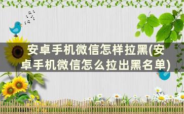 安卓手机微信怎样拉黑(安卓手机微信怎么拉出黑名单)