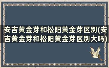 安吉黄金芽和松阳黄金芽区别(安吉黄金芽和松阳黄金芽区别大吗)