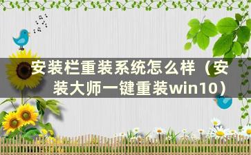 安装栏重装系统怎么样（安装大师一键重装win10）