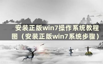 安装正版win7操作系统教程图（安装正版win7系统步骤）