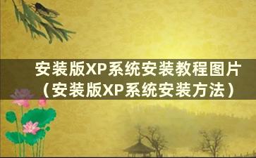 安装版XP系统安装教程图片（安装版XP系统安装方法）