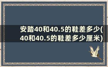 安踏40和40.5的鞋差多少(40和40.5的鞋差多少厘米)